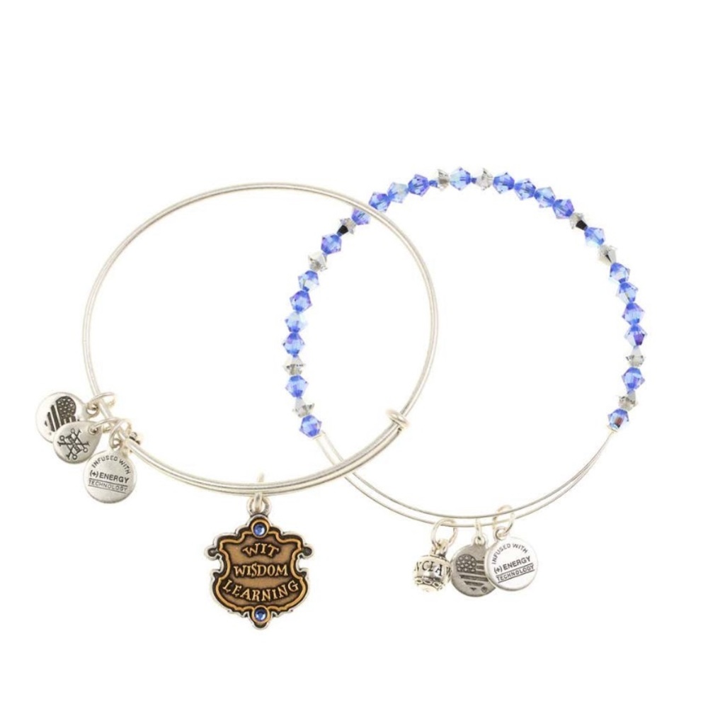 NWT Alex & Ani Harry Potter Bracelet